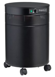 Airpura V600 Air Purifier-Black