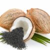 Activated-coconut-carbon